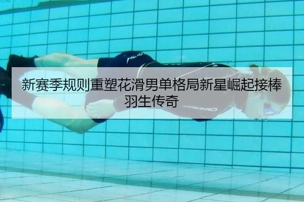 xin-sai-ji-gui-ze-zhong-su-hua-hua-nan-dan-ge-ju-xin-xing-jue-qi-jie-bang-yu-sheng-chuan-qi-2-709.jpg
